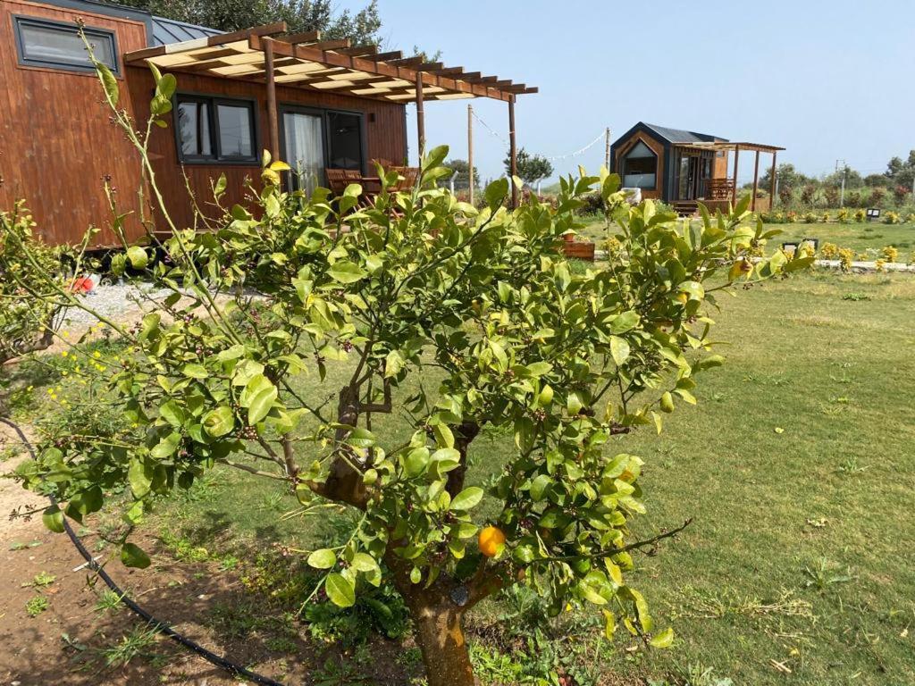 Radika Datca Kızlanköy Exterior foto